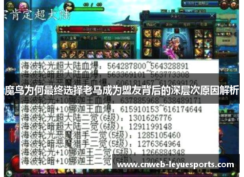 魔鸟为何最终选择老马成为盟友背后的深层次原因解析