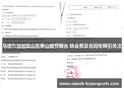 马德鲁加加盟山东泰山细节曝光 转会费及合同年限引关注